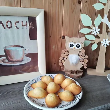 Gite Les P'tites Chouettes Hautes Vosges * Ramonchamp